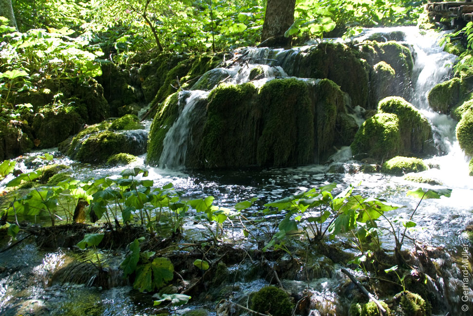 Rab 2011_04_Plitvice_055