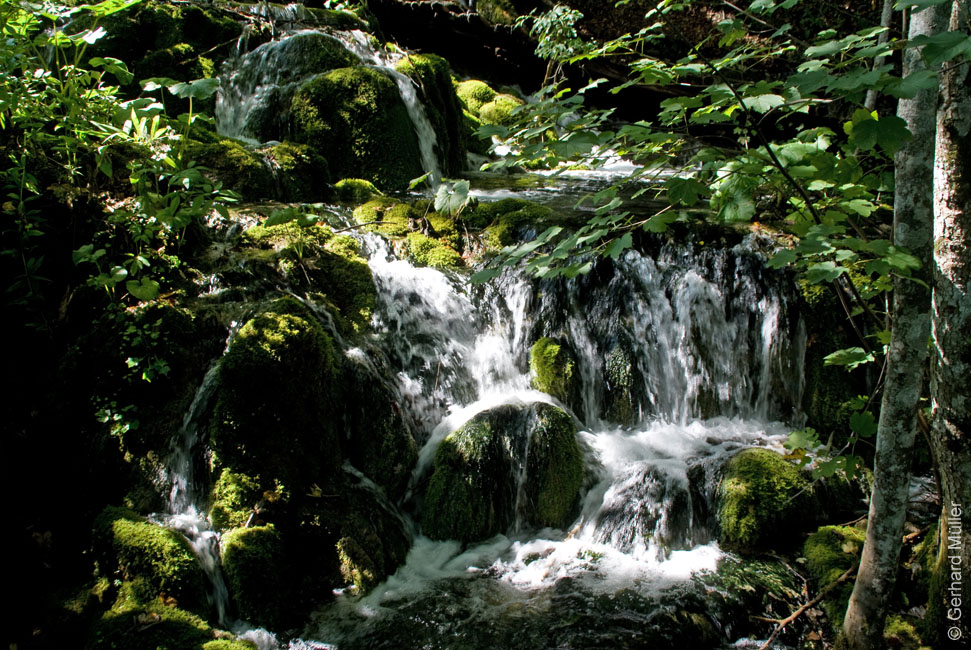 Rab 2011_04_Plitvice_057