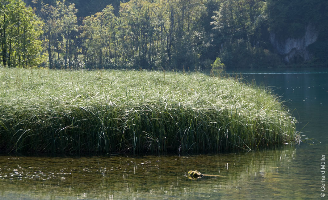 Rab 2011_04_Plitvice_060