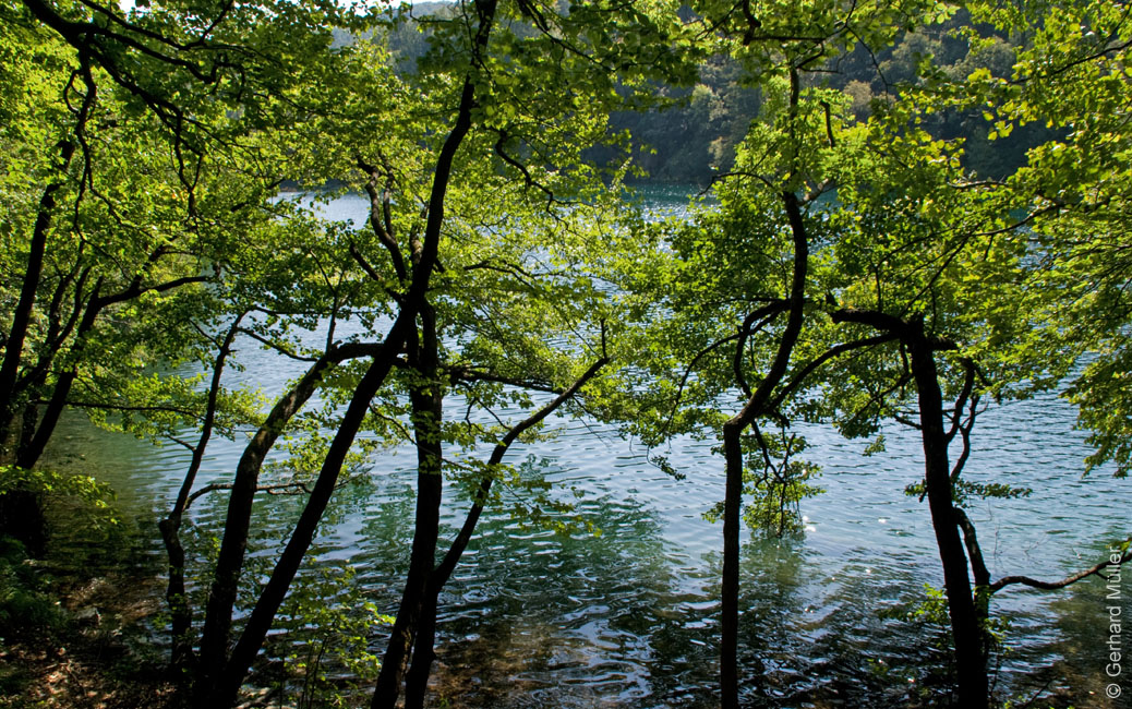 Rab 2011_04_Plitvice_068