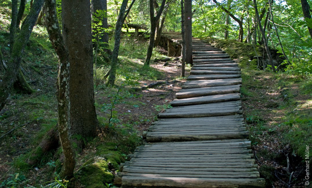 Rab 2011_04_Plitvice_069