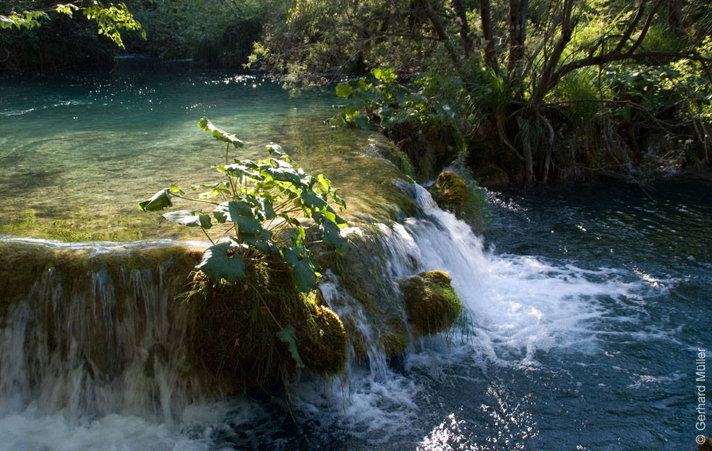 Rab 2011_04_Plitvice_136