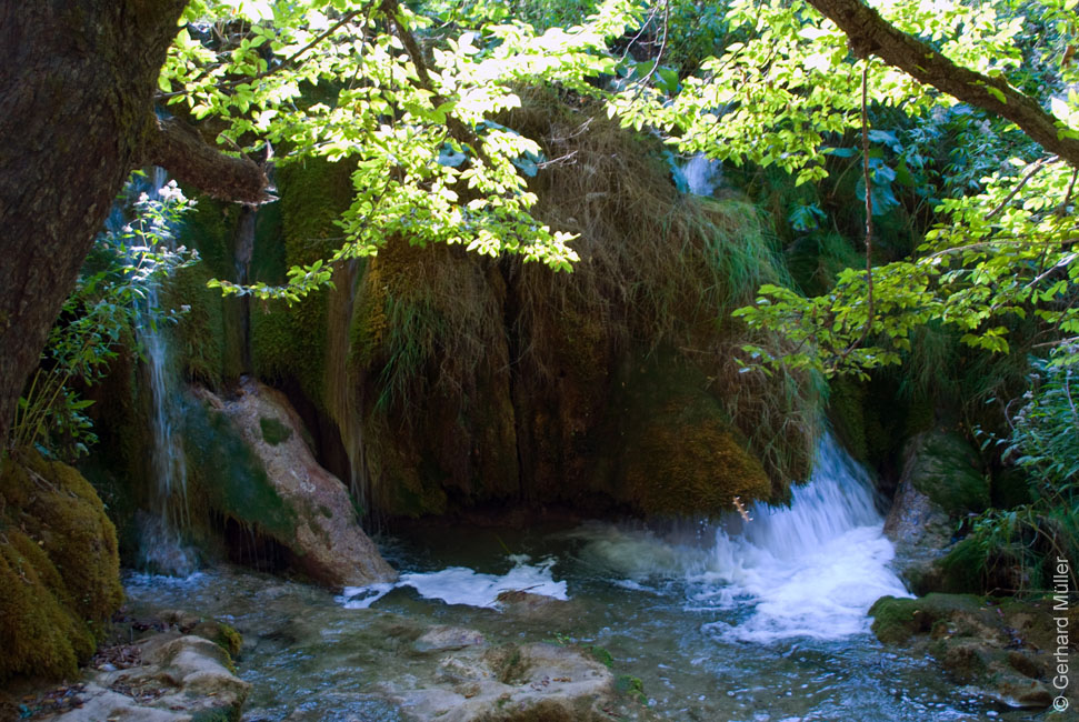 Rab 2011_04_Plitvice_140