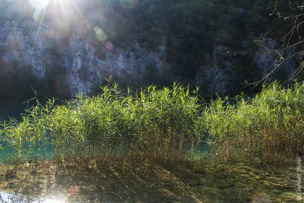 Rab 2011_04_Plitvice_142