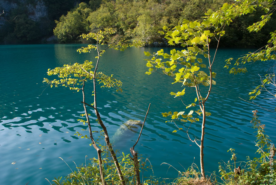 Rab 2011_04_Plitvice_148
