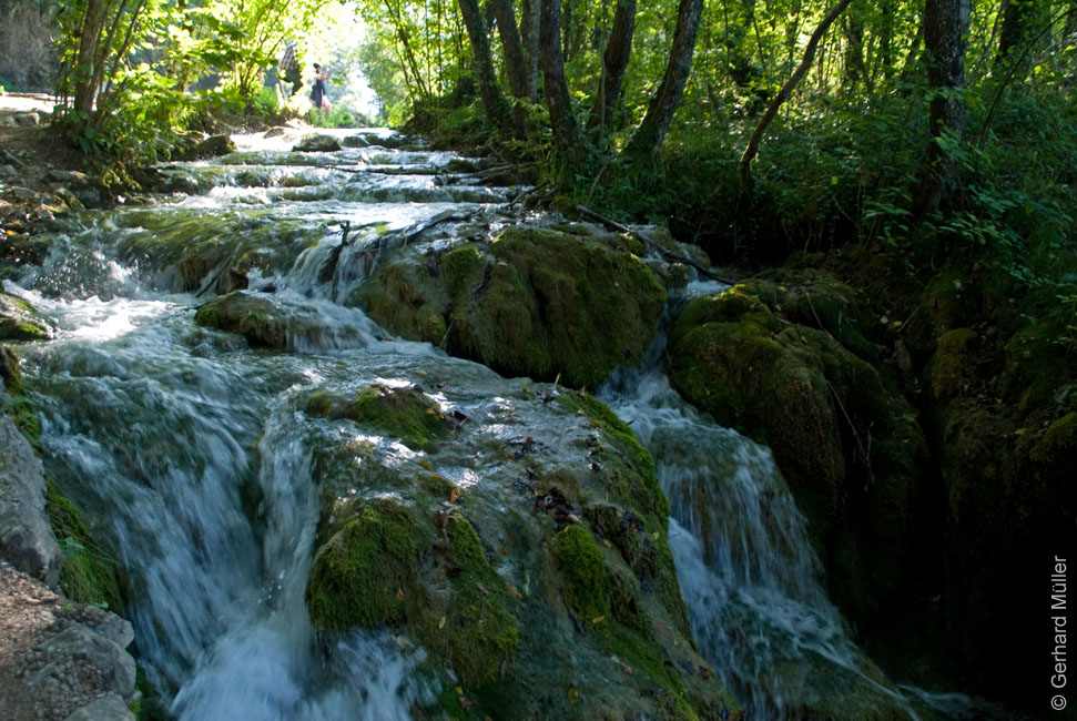Rab 2011_04_Plitvice_155