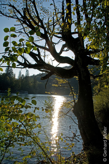 Rab 2011_04_Plitvice_169