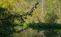 Rab 2011_04_Plitvice_012