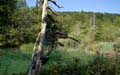 Rab 2011_04_Plitvice_024