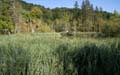Rab 2011_04_Plitvice_026