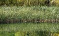 Rab 2011_04_Plitvice_033