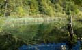 Rab 2011_04_Plitvice_038