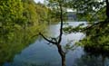 Rab 2011_04_Plitvice_039