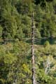 Rab 2011_04_Plitvice_043