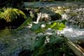 Rab 2011_04_Plitvice_044
