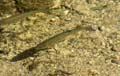 Rab 2011_04_Plitvice_046