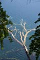 Rab 2011_04_Plitvice_048