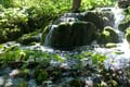 Rab 2011_04_Plitvice_055