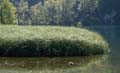 Rab 2011_04_Plitvice_060