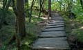 Rab 2011_04_Plitvice_069