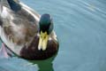 Rab 2011_04_Plitvice_106