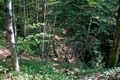Rab 2011_04_Plitvice_121