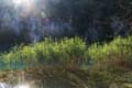 Rab 2011_04_Plitvice_142