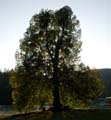 Rab 2011_04_Plitvice_170