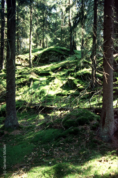 Schweden-1995_006
