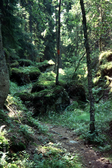 Schweden-1995_012