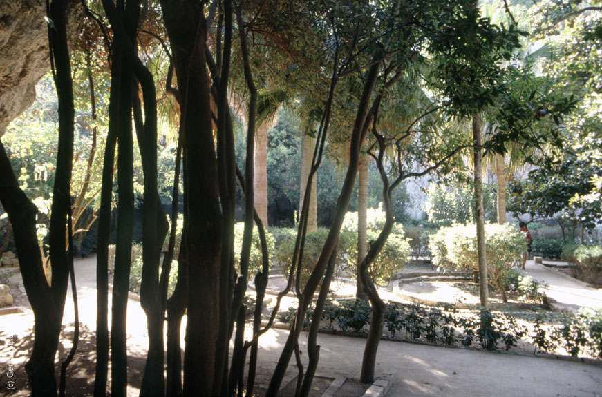Sizilien 1993_432