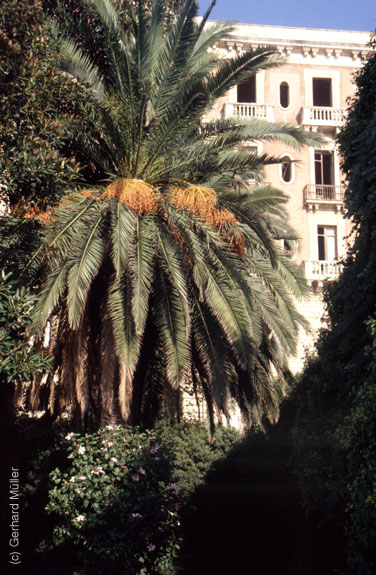 Sizilien 1993_504