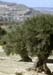 Sizilien 1993_314