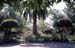 Sizilien 1993_420
