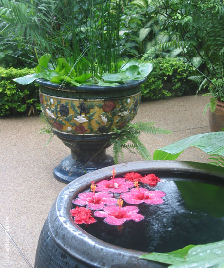 KohSamui2002_011