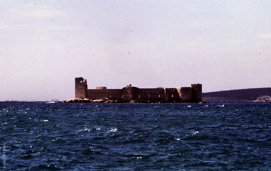 M005