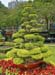 01_Saigon_067