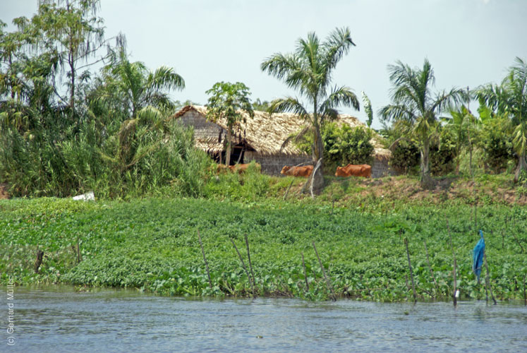 02_Mekong_40094