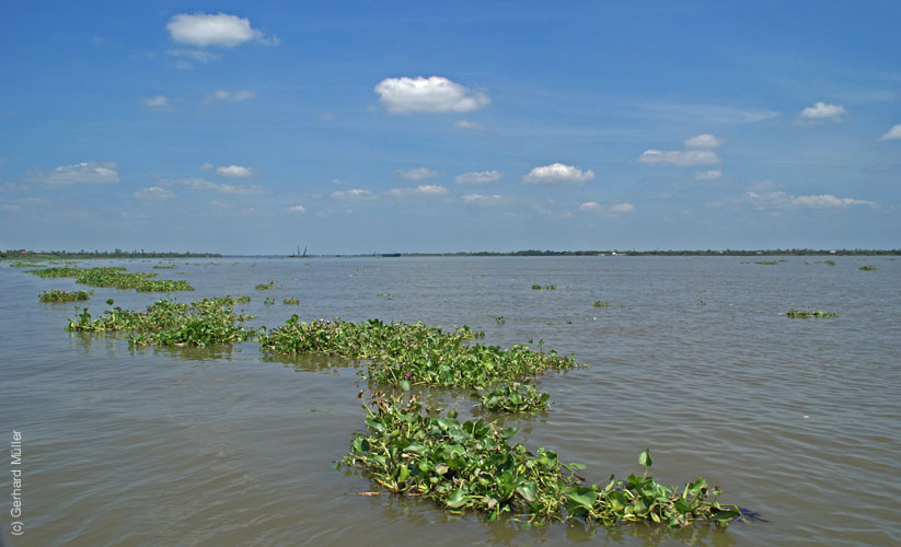 02_Mekong_50103