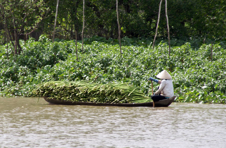 02_Mekong_50120