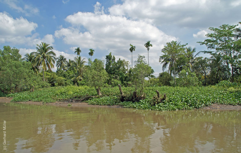 02_Mekong_50137