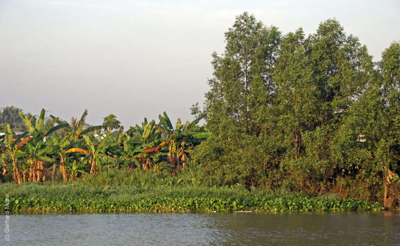 02_Mekong_80231