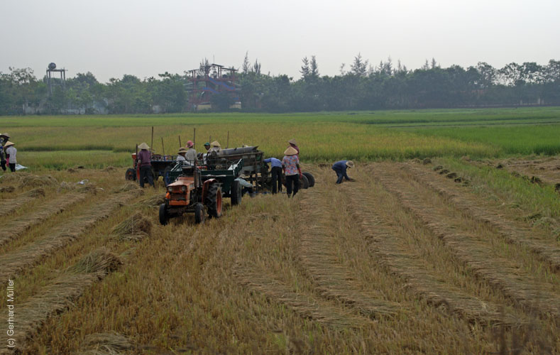04_Cu Chi_0001