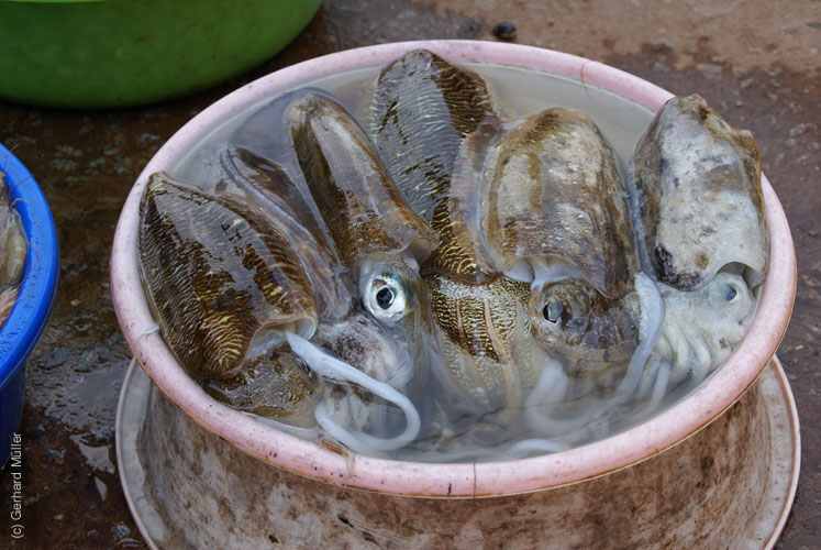06_Phu Quoc_10009