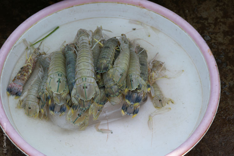 06_Phu Quoc_10010