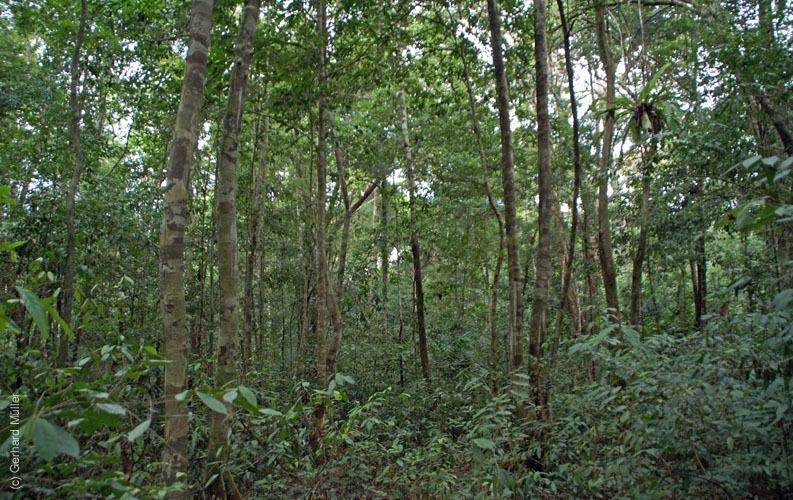 06_Phu Quoc_10042