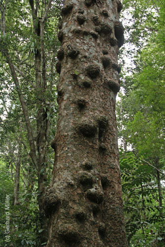 06_Phu Quoc_10043