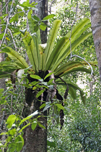06_Phu Quoc_10045