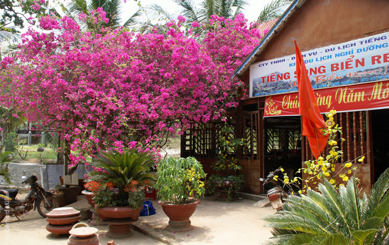 06_Phu Quoc_10056