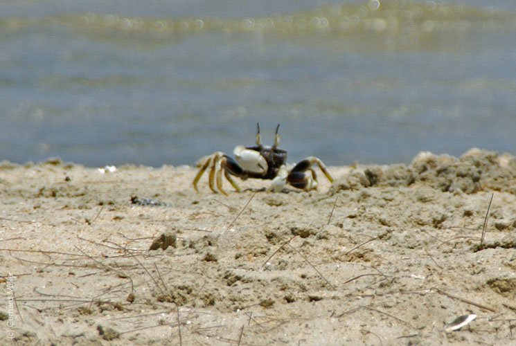 06_Phu Quoc_10076